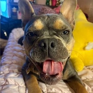 Meet your Posher, Anthony